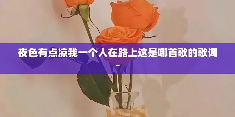 夜色有点凉我一个人在路上这是哪首歌的歌词-
