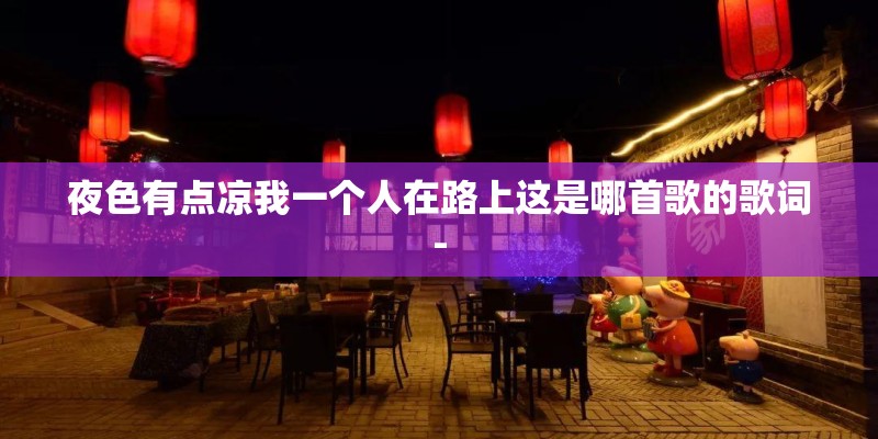 夜色有点凉我一个人在路上这是哪首歌的歌词-