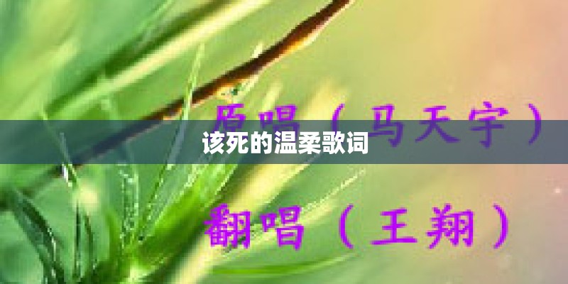 该死的温柔歌词