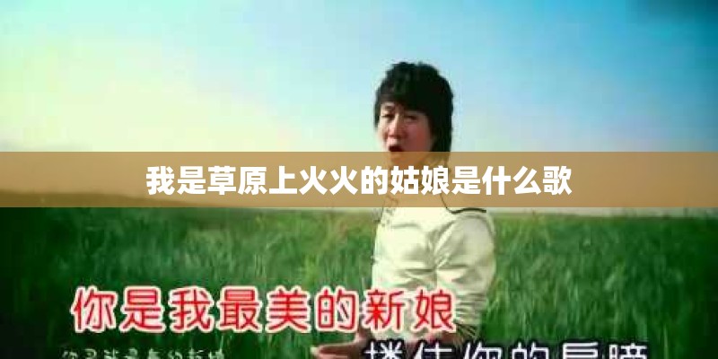 我是草原上火火的姑娘是什么歌