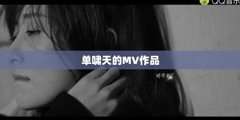 单啸天的MV作品