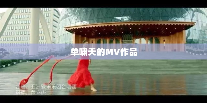 单啸天的MV作品