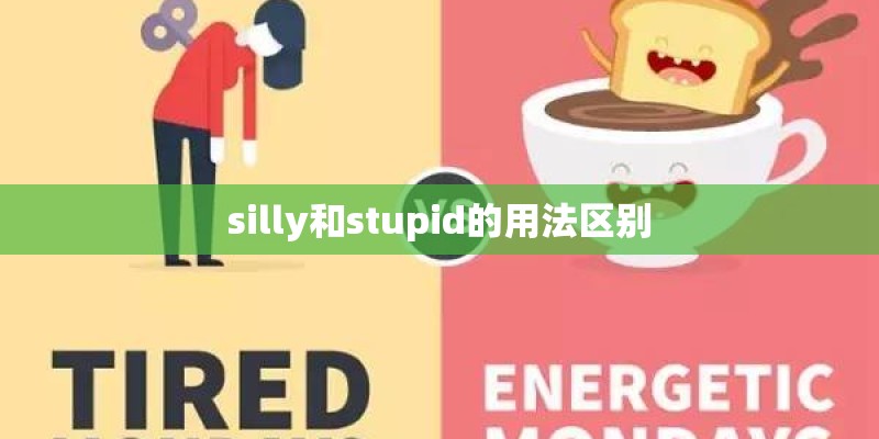 silly和stupid的用法区别