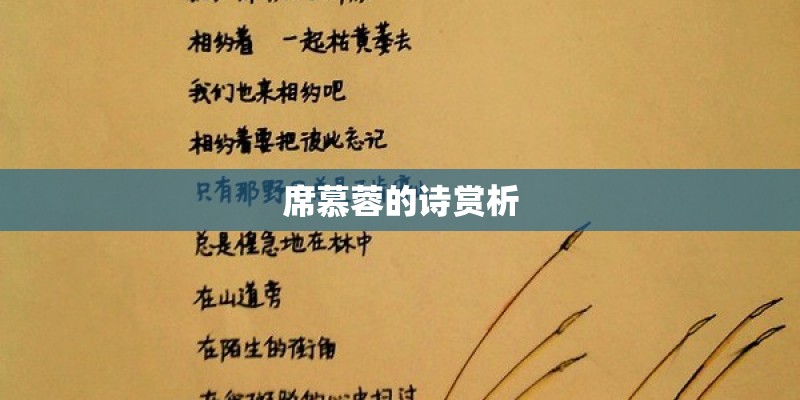 席慕蓉的诗赏析