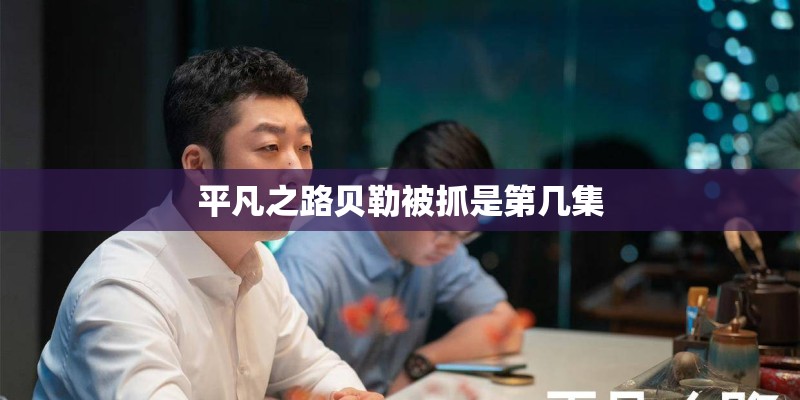 平凡之路贝勒被抓是第几集