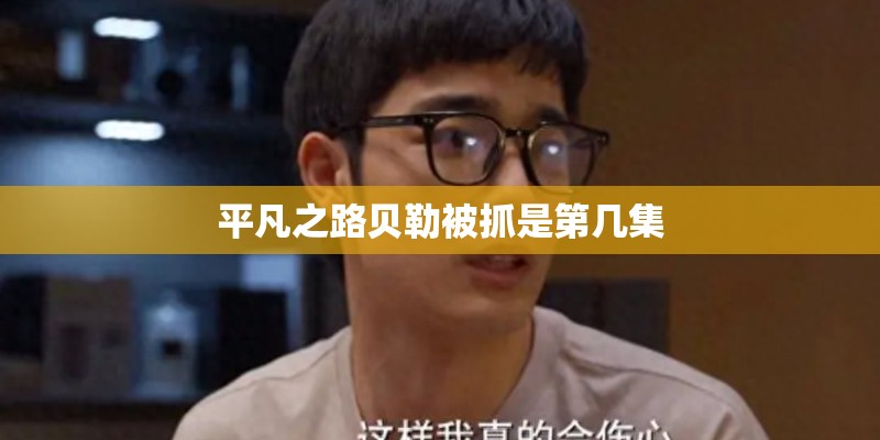 平凡之路贝勒被抓是第几集