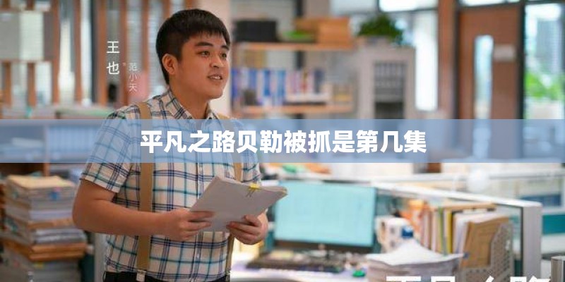 平凡之路贝勒被抓是第几集