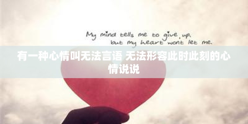 有一种心情叫无法言语 无法形容此时此刻的心情说说
