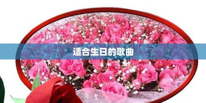 适合生日的歌曲