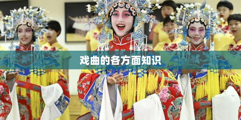 戏曲的各方面知识 戏曲的各方面知识