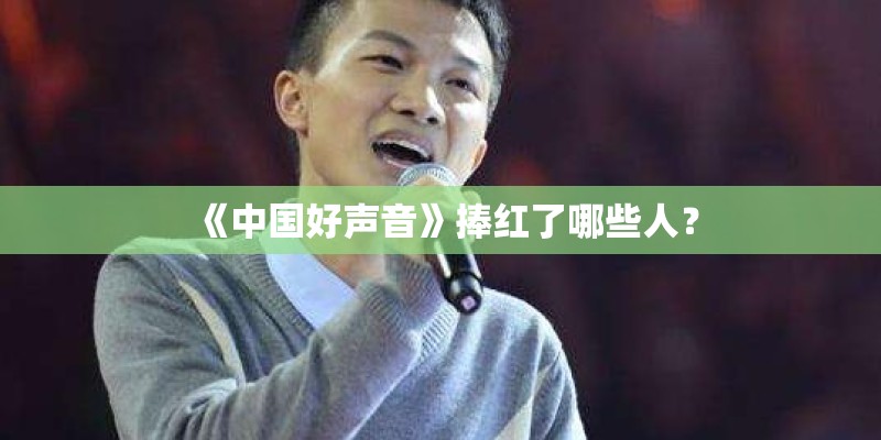 《中国好声音》捧红了哪些人？
