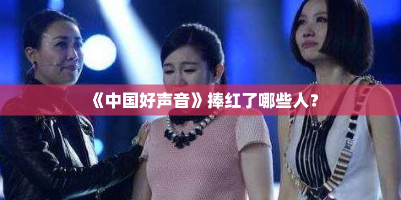《中国好声音》捧红了哪些人？