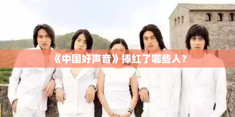 《中国好声音》捧红了哪些人？
