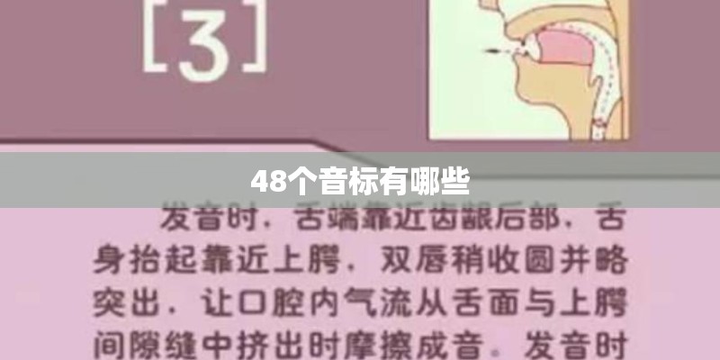 48个音标有哪些