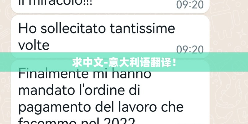 求中文-意大利语翻译！