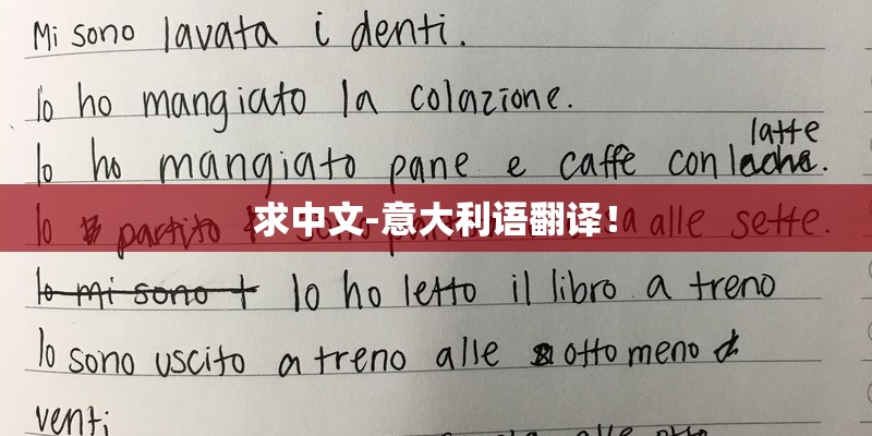 求中文-意大利语翻译！