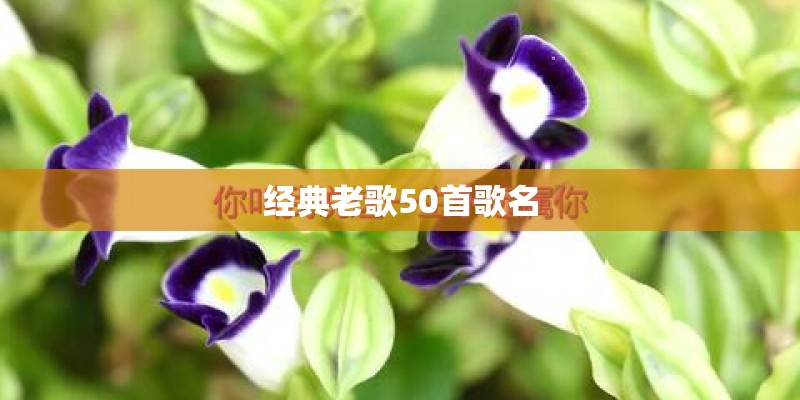 经典老歌50首歌名