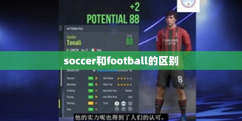 soccer和football的区别