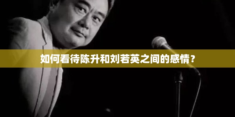 如何看待陈升和刘若英之间的感情？