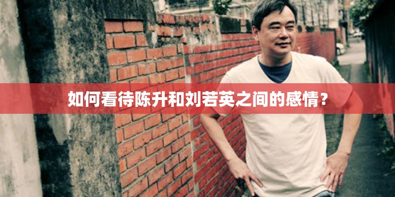 如何看待陈升和刘若英之间的感情？