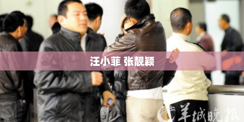 汪小菲 张靓颖