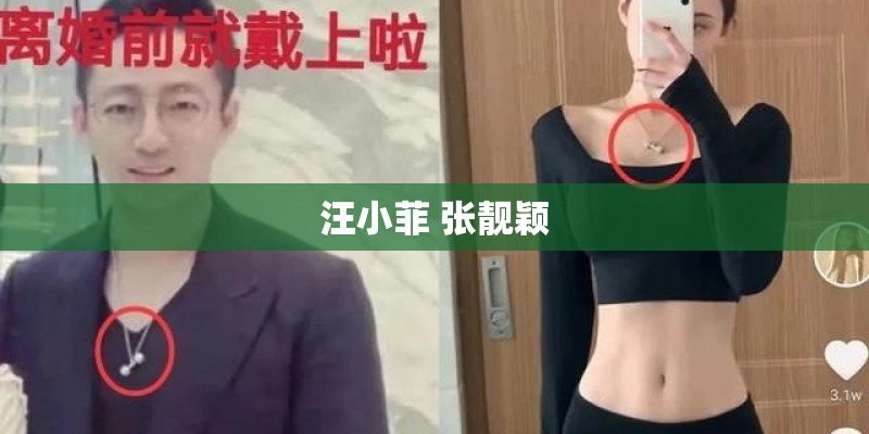 汪小菲 张靓颖