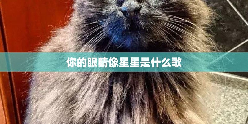 你的眼睛像星星是什么歌