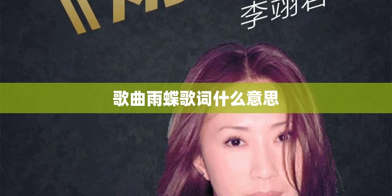 歌曲雨蝶歌词什么意思