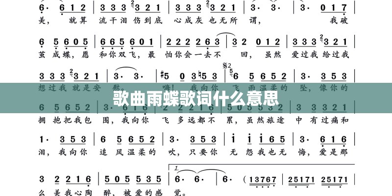 歌曲雨蝶歌词什么意思