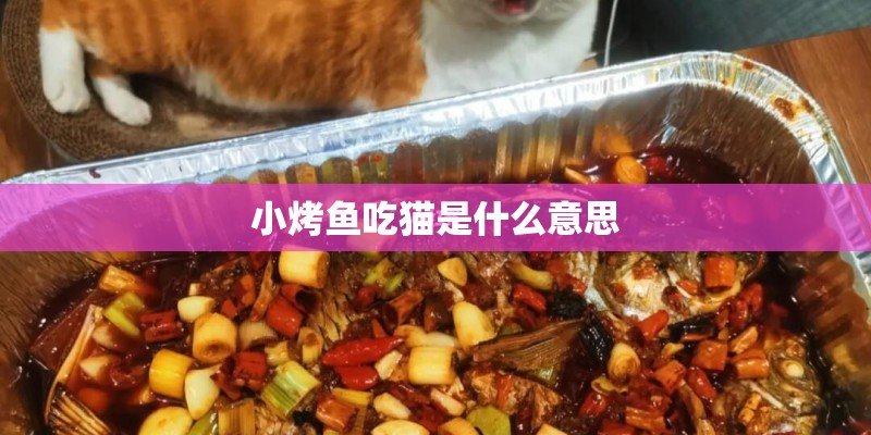 小烤鱼吃猫是什么意思