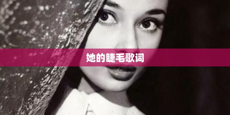 她的睫毛歌词