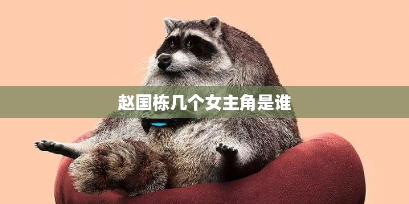 赵国栋几个女主角是谁