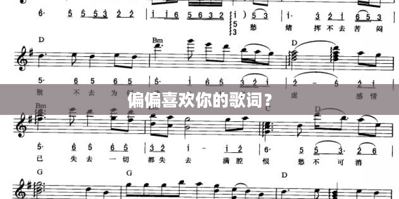 偏偏喜欢你的歌词？