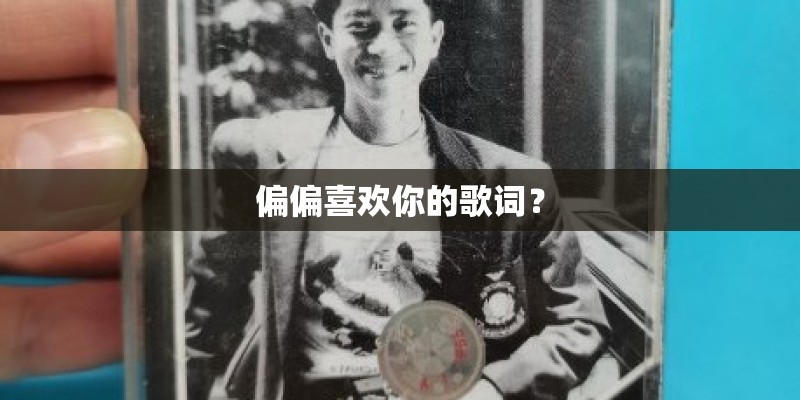 偏偏喜欢你的歌词？