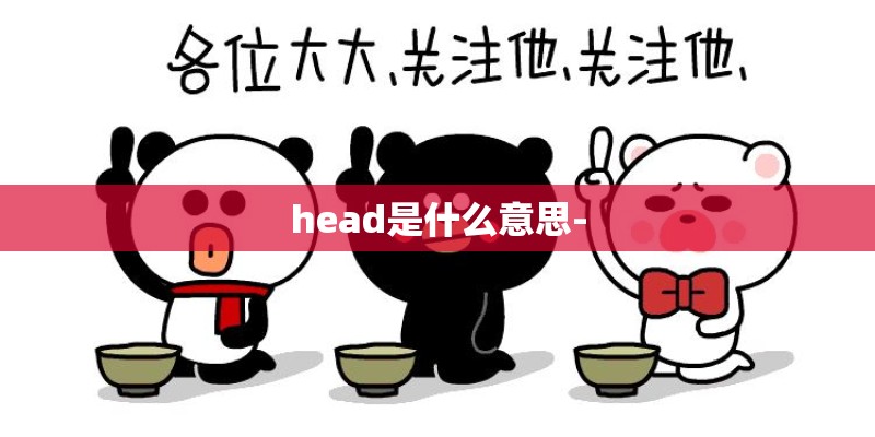 head是什么意思-