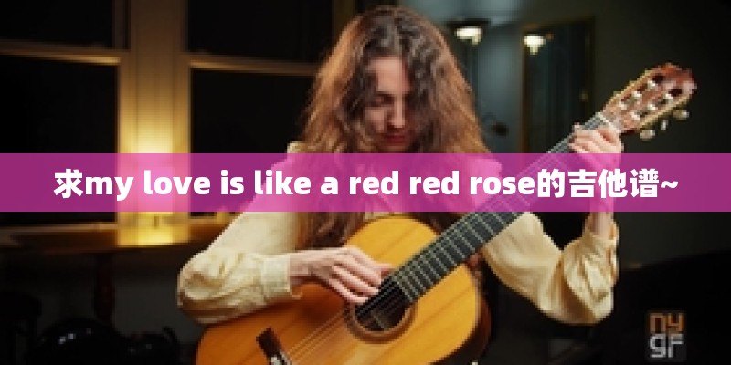 求my love is like a red red rose的吉他谱~
