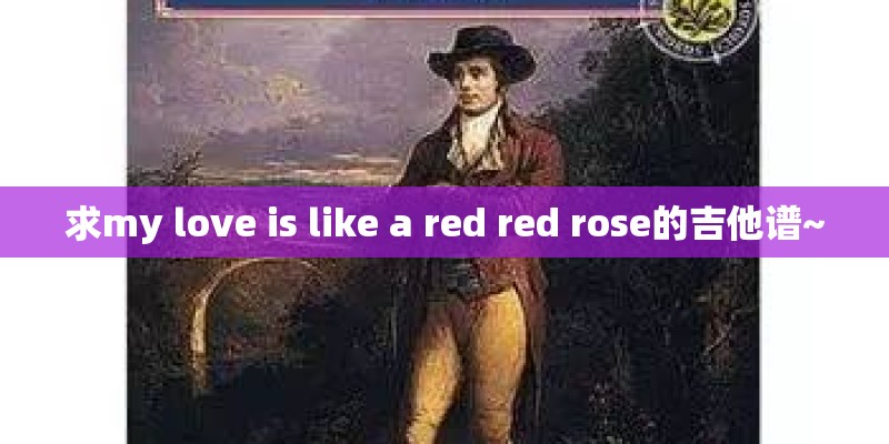 求my love is like a red red rose的吉他谱~