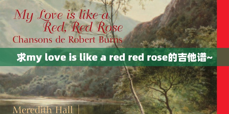 求my love is like a red red rose的吉他谱~