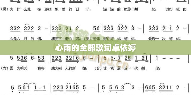 心雨的全部歌词卓依婷