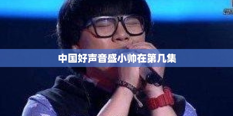 中国好声音盛小帅在第几集