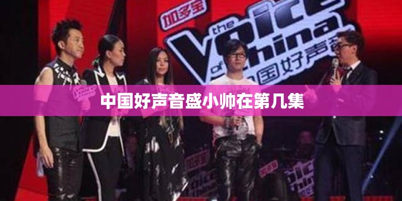 中国好声音盛小帅在第几集