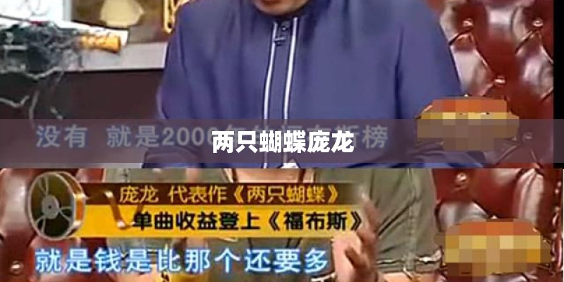 两只蝴蝶庞龙