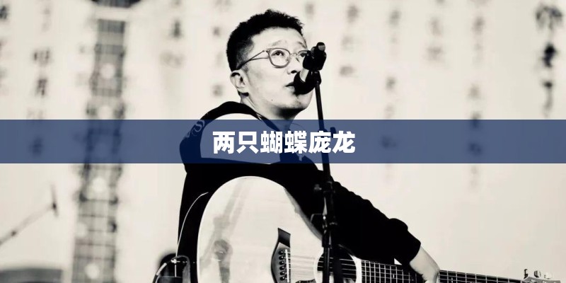 两只蝴蝶庞龙