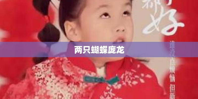 两只蝴蝶庞龙