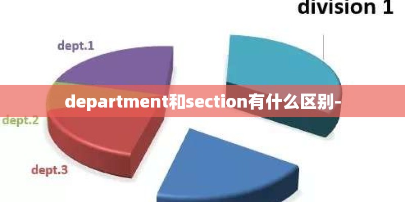 department和section有什么区别-