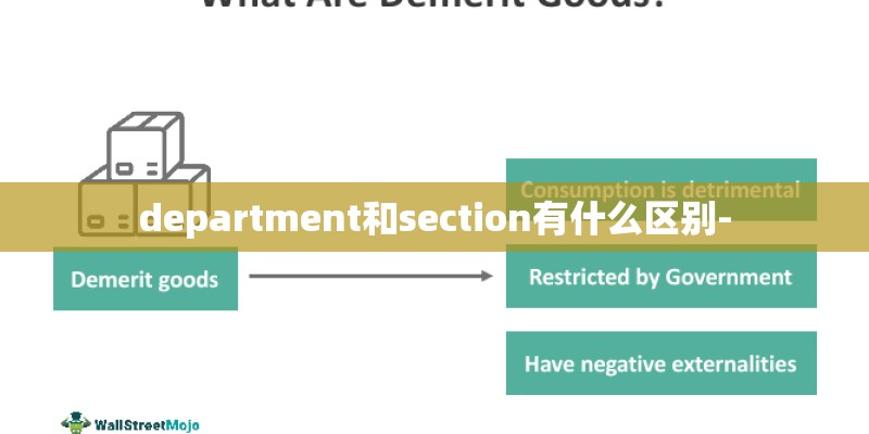 department和section有什么区别-