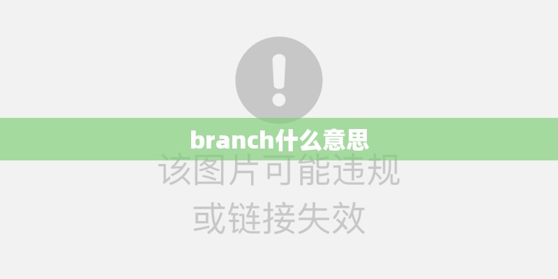 branch什么意思