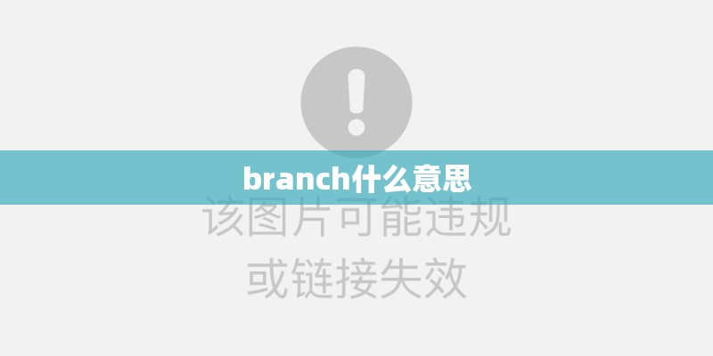 branch什么意思