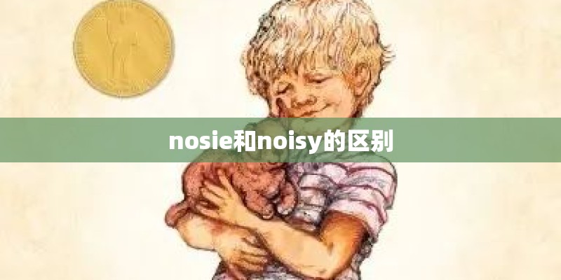 nosie和noisy的区别