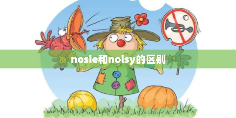 nosie和noisy的区别
